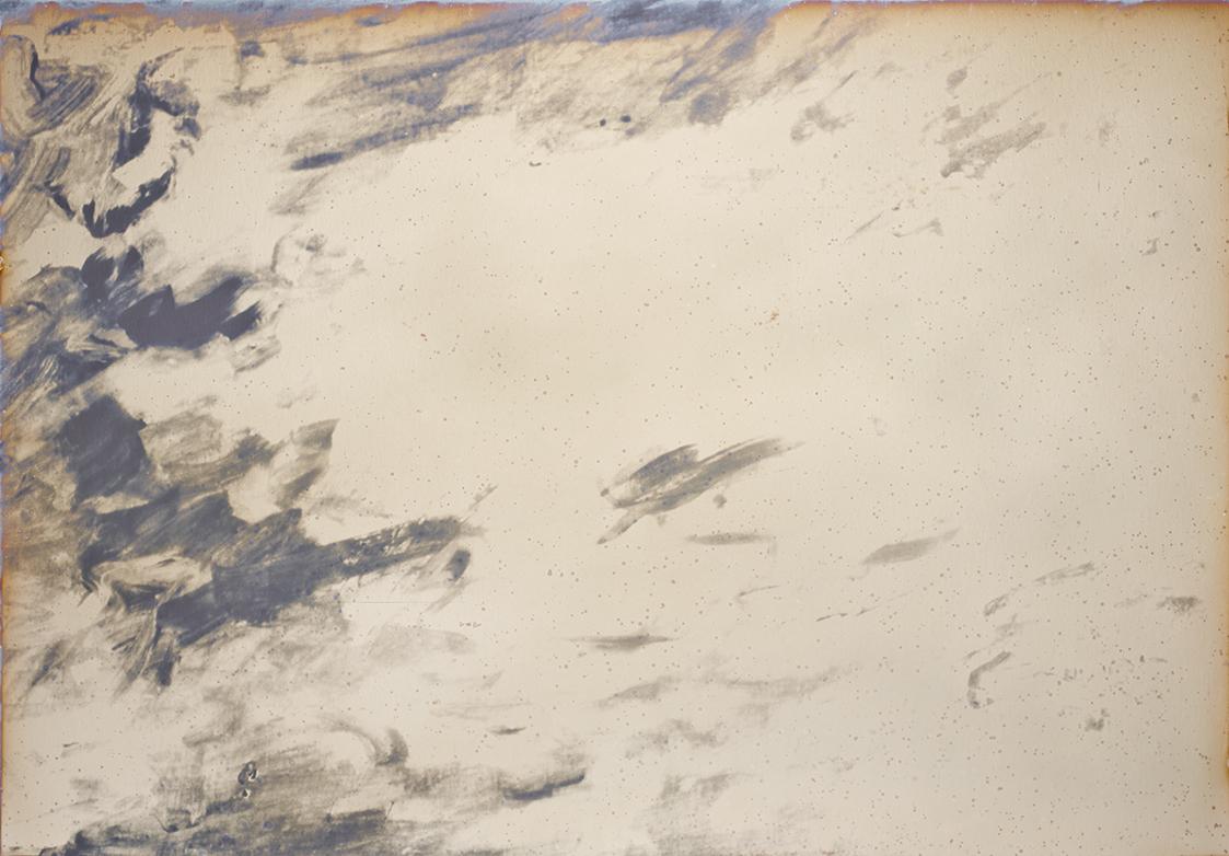 Lisa Oppenheim, Belvedere Heliograms, 2012, Silbern getönter Silbergelatine-Druck, auf Aluminiu…
