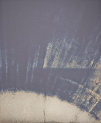 Lisa Oppenheim, Belvedere Heliograms, 2012, Silbern getönter Silbergelatine-Druck, auf Aluminiu…