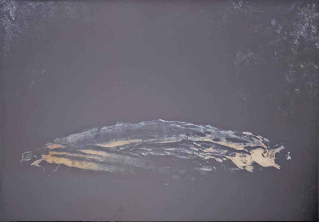 Lisa Oppenheim, Belvedere Heliograms, 2012, Silbern getönter Silbergelatine-Druck, auf Aluminiu…