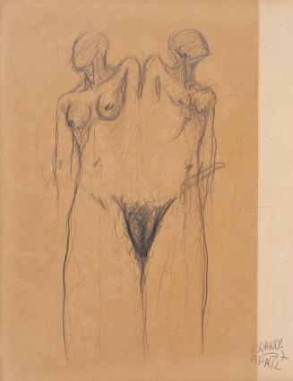 Herbert Brandl, Akt, 1977, Bleistift auf Papier, Blattmaße: 39,4 × 30,4 cm, Belvedere, Wien, In…