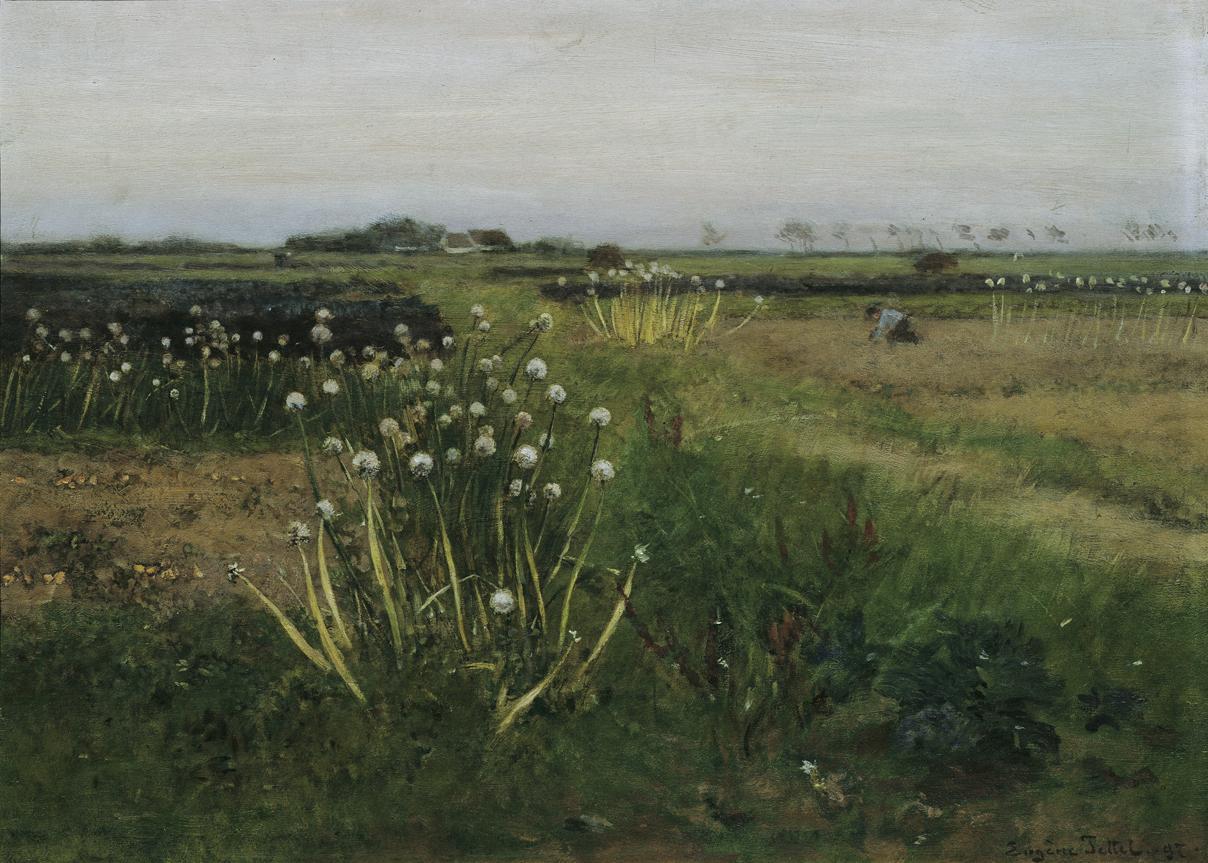 Eugen Jettel, Blühendes Zwiebelfeld, 1897, Öl auf Holz, 45 x 61 cm, Belvedere, Wien, Inv.-Nr. 5 ...