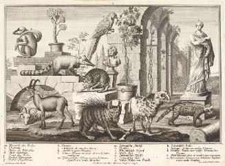 Salomon Kleiner, Hyäne, Wildkatzen, Nasenbär, 1734, Radierung, Druck in Schwarz auf Papier, Dau…
