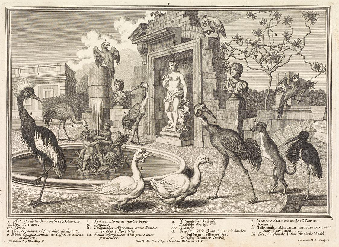 Salomon Kleiner, Kraniche und Enten, 1734, Radierung, Druck in Schwarz auf Papier, Dauerleihgab…