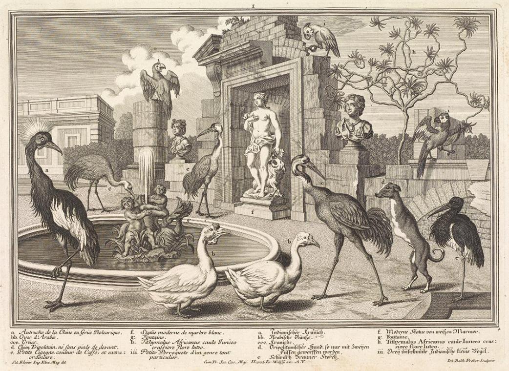 Salomon Kleiner, Kraniche und Enten, 1734, Radierung, Druck in Schwarz auf Papier, Dauerleihgab…