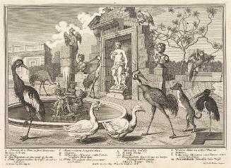 Salomon Kleiner, Kraniche und Enten, 1734, Radierung, Druck in Schwarz auf Papier, Dauerleihgab…