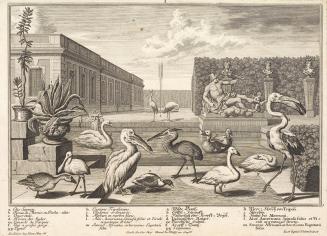 Salomon Kleiner, Wasservögel, 1734, Radierung, Druck in Schwarz auf Papier, Dauerleihgabe aus P…