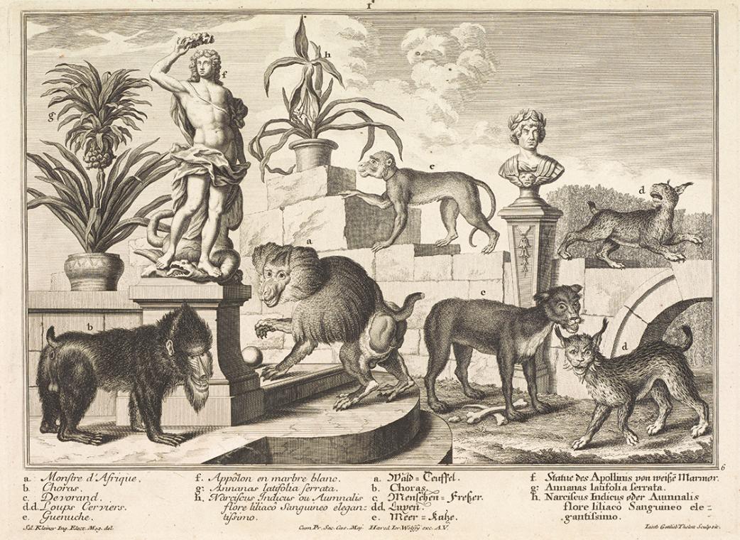 Salomon Kleiner, Affen und Wildkatzen, 1734, Radierung, Druck in Schwarz auf Papier, Dauerleihg…