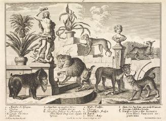 Salomon Kleiner, Affen und Wildkatzen, 1734, Radierung, Druck in Schwarz auf Papier, Dauerleihg…