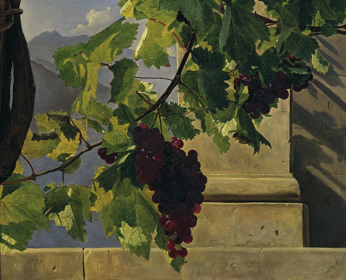 Ferdinand Georg Waldmüller, Traubengehänge, 1841, Öl auf Leinwand, 39 x 48 cm, Belvedere, Wien,…