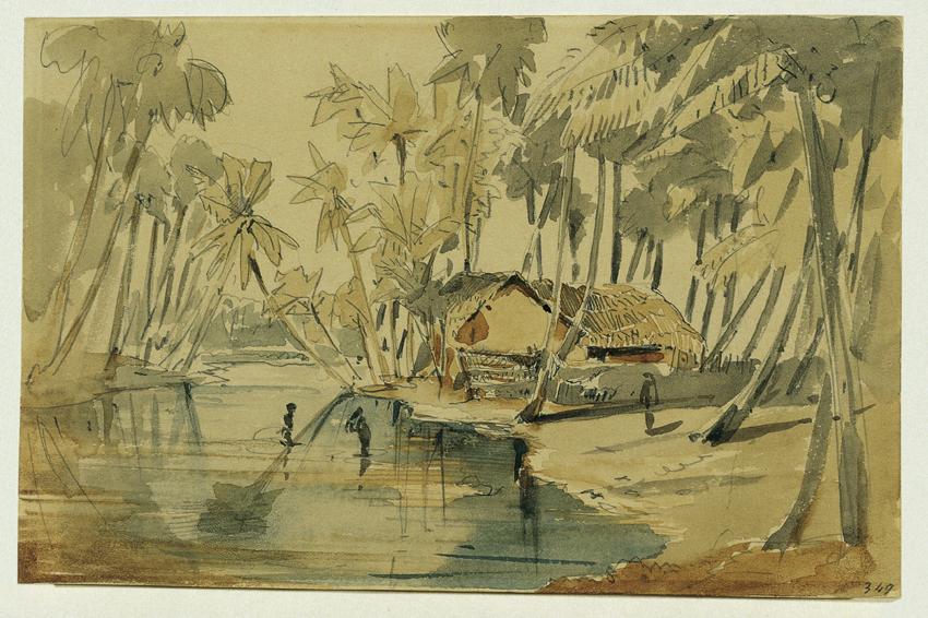 Joseph Selleny, Palmenhain auf Ceylon (Sri Lanka), 1858, Bleistift, Aquarell auf Papier, 11,5 x…