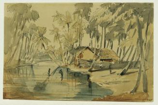 Joseph Selleny, Palmenhain auf Ceylon (Sri Lanka), 1858, Bleistift, Aquarell auf Papier, 11,5 x…