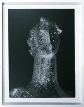Florian Pumhösl, Hauspinakothek, 2003, Foto auf Barytpapier, 40 x 30 cm, Belvedere, Wien, Inv.-…