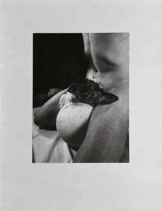 Rudolf Schwarzkogler, 2. Aktion, 1965, Fotografie, 39,5 × 29,8 cm, Belvedere, Wien, Inv.-Nr. 88 ...