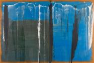 Erwin Bohatsch, Ohne Titel, 2007, Öl, Acryl auf Leinwand, ungerahmt: 200 × 300 × 4 cm, Schenkun…