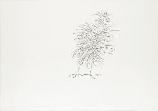 Edgar Honetschläger, Ohne Titel, 2005, Kreide auf Papier, 70,2 × 100 cm, Schenkung Sammlung Plo…
