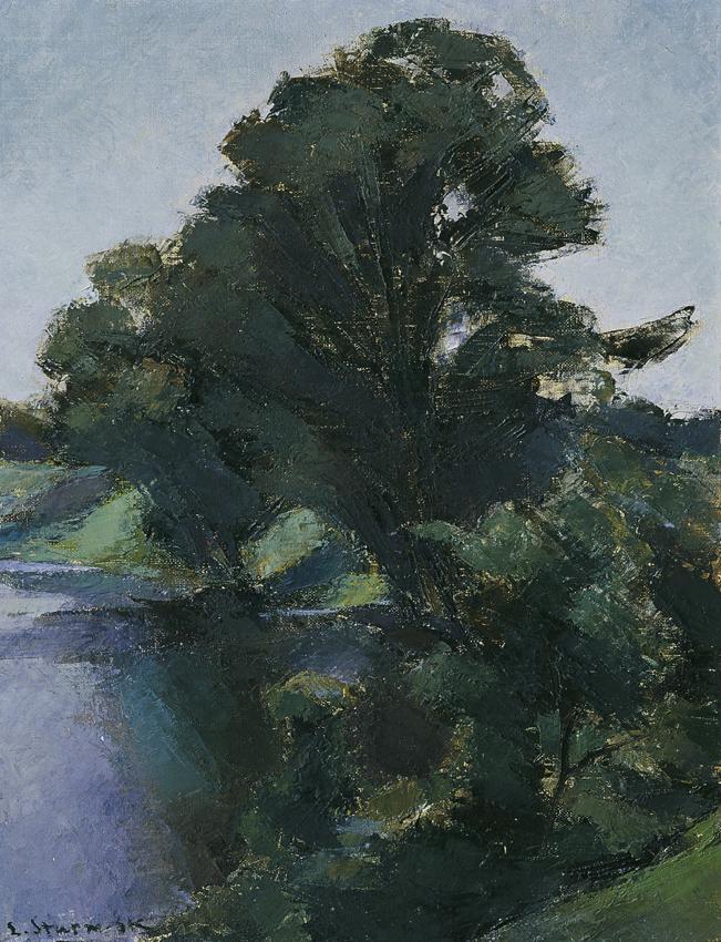 Egge Sturm-Skrla, Bäume am Wasser, undatiert, Öl auf Leinwand, 48 x 36 cm, Belvedere, Wien, Inv…