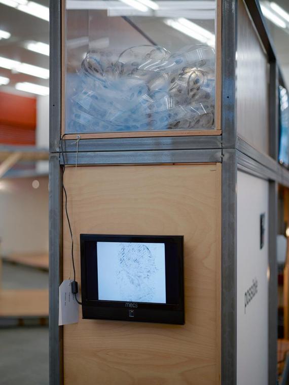 Peter Weibel, Fingerprint, 1968/2014, 35mm-Film in Plexibox, Plexibox: 54 × 48 × 20 cm, Belvede…