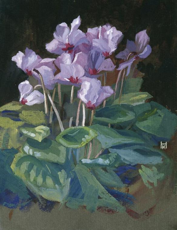 Klara Hasslwander, Cyclamen, undatiert, Gouache auf Karton, 42 x 33 cm, Belvedere, Wien, Inv.-N ...