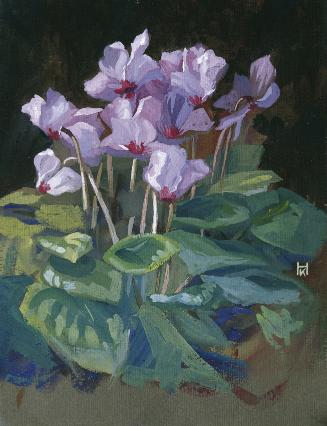 Klara Hasslwander, Cyclamen, undatiert, Gouache auf Karton, 42 x 33 cm, Belvedere, Wien, Inv.-N…