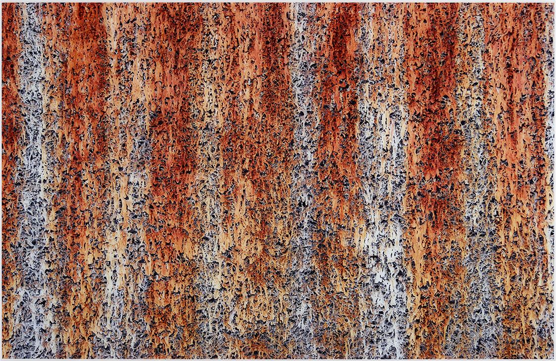 Jörg Sasse, 3902, 2005, 2005, C-Print, ungerahmt: 130 × 200 × 2,5 cm, Schenkung Sammlung Ploner…