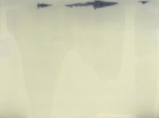 Erwin Bohatsch, Ohne Titel, 1999, Öl, Kunstharz auf Leinwand, ungerahmt: 101 × 135,5 × 3,5 cm, …