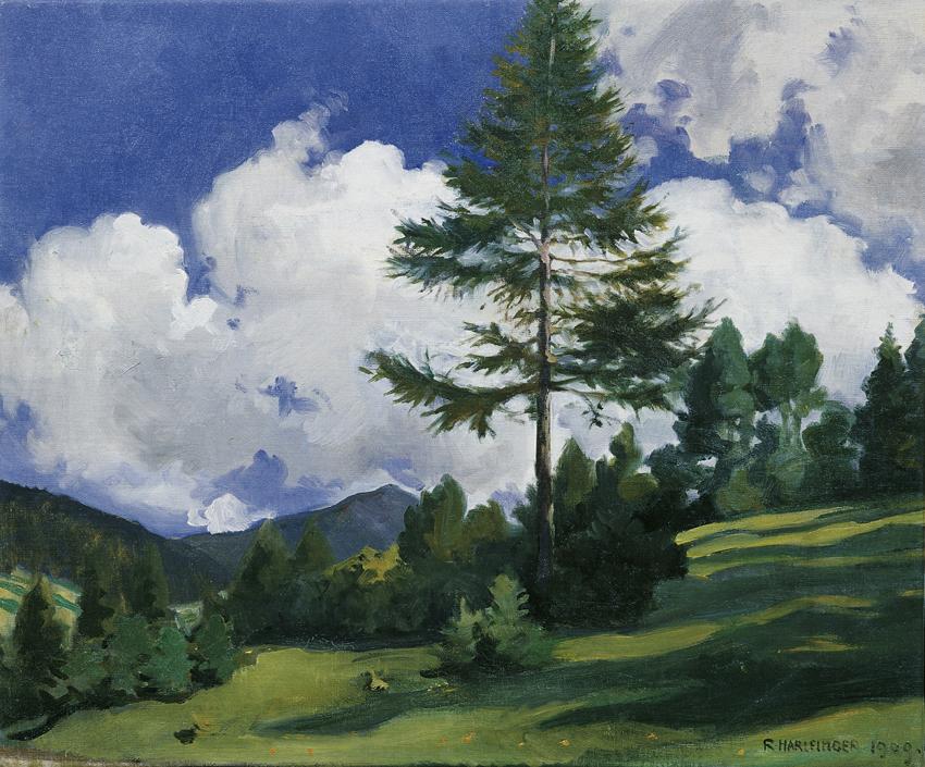 Richard Harlfinger, Motiv bei Toblach, 1909, Öl auf Leinwand, 54 x 65,5 cm, Belvedere, Wien, In ...