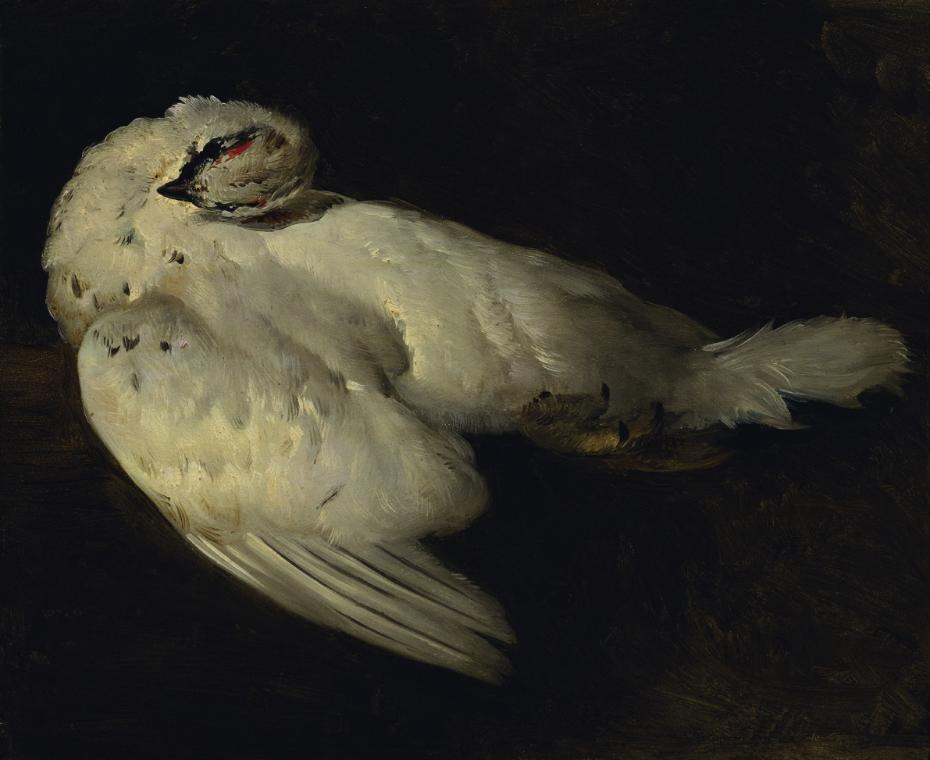 Johann Matthias Ranftl, Totes Schneehuhn, Öl auf Karton, 26 x 31 cm, Belvedere, Wien, Inv.-Nr. …