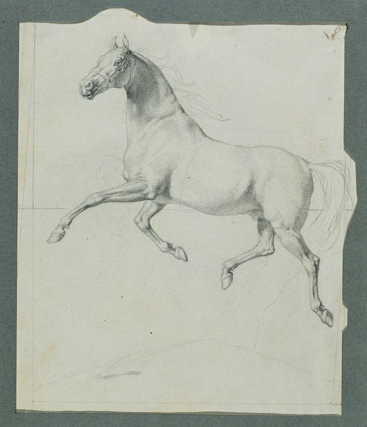 Johann Peter Krafft, Pferdestudie zu "Rüdiger und Angelika", um 1842, Bleistift auf Papier, 23 …