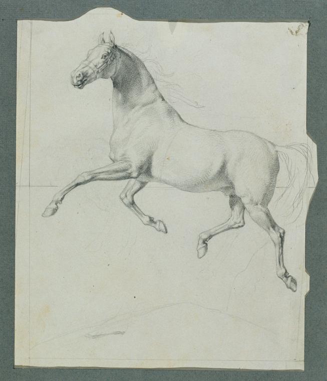 Johann Peter Krafft, Pferdestudie zu "Rüdiger und Angelika", um 1842, Bleistift auf Papier, 23 …