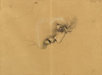 Johann Peter Krafft, Kopfstudie, Bleistift auf Papier, weiß gehöht, 28 x 20,5 cm, Belvedere, Wi…