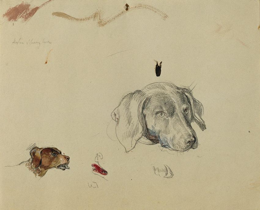 Johann Peter Krafft, Hundestudie, Aquarell, Bleistift auf Papier, 18,3 x 23 cm, Belvedere, Wien…