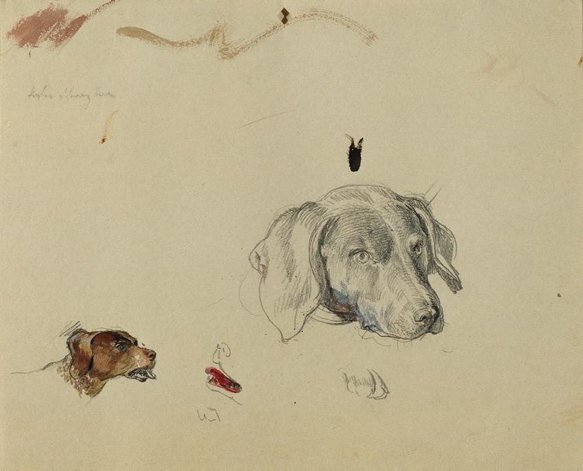 Johann Peter Krafft, Hundestudie, Aquarell, Bleistift auf Papier, 18,3 x 23 cm, Belvedere, Wien…