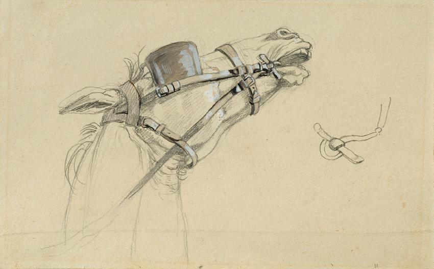 Johann Peter Krafft, Studie eines Pferdekopfes zu "Rückkehr des Kaisers Franz aus Pressburg", v…