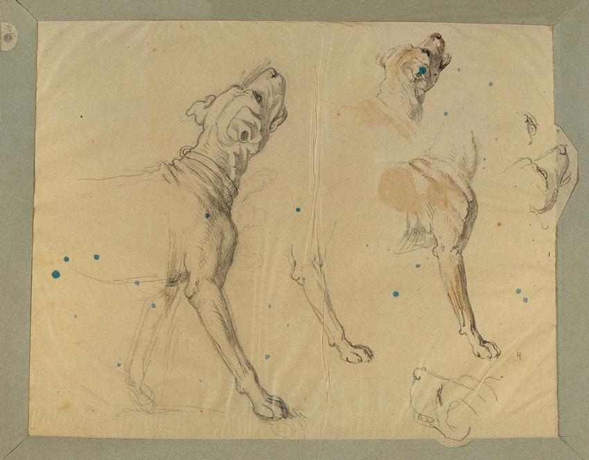 Johann Peter Krafft, Hundestudie zur "Heimkehr des Landwehrmannes" (1820), vor 1820, Bleistift,…