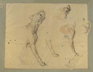 Johann Peter Krafft, Hundestudie zur "Heimkehr des Landwehrmannes" (1820), vor 1820, Bleistift,…
