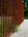 Lois Weinberger, Wild Cube, 2011, Ruderaleinfriedung aus Eisen, Spontanvegetation, 400 × 500 × …