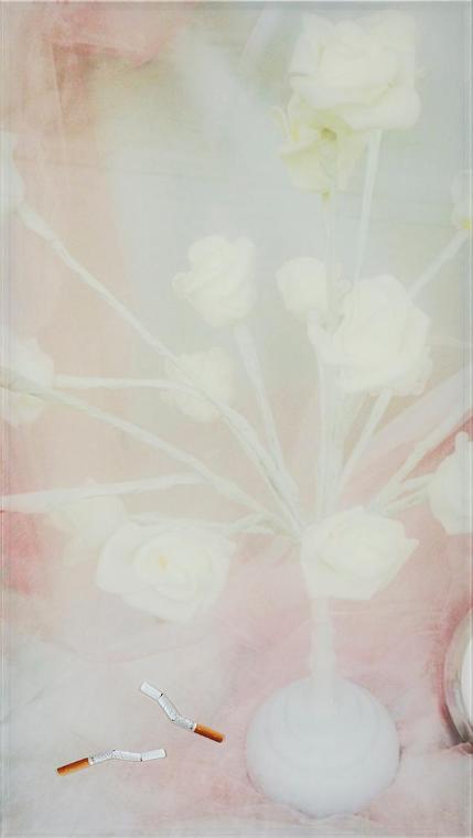Rosa Rendl, For L. O., 2015, Digitaldruck auf und hinter Plexiglas, Alurahmen, 124,5 × 70 × 2,5…