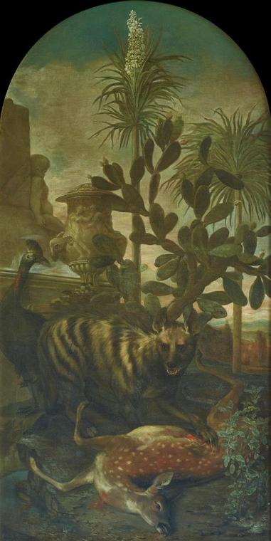 Ignaz Heinitz von Heinzenthal, Hyäne, Antilope und Kasuar in Kakteenlandschaft, 1723, Öl auf Le…