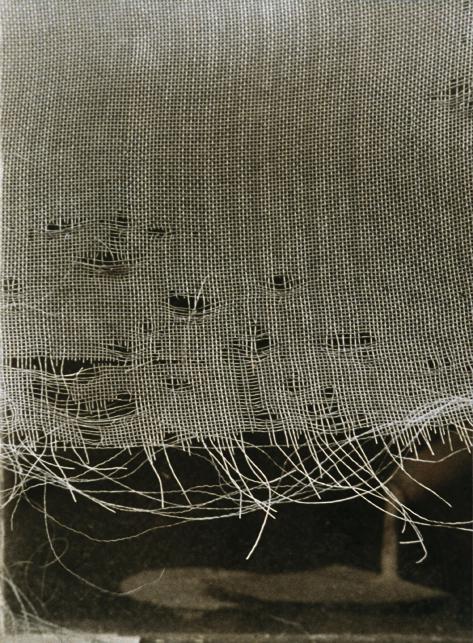 Helga Pasch, Gewebe, Ende 1980er-Jahre, Farbfotografie, 42 × 30,5 cm, Belvedere, Wien, Inv.-Nr.…