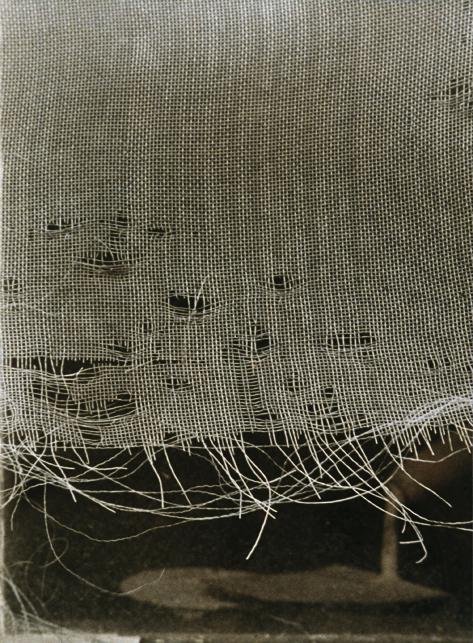 Helga Pasch, Gewebe, Ende 1980er-Jahre, Farbfotografie, 42 × 30,5 cm, Belvedere, Wien, Inv.-Nr.…