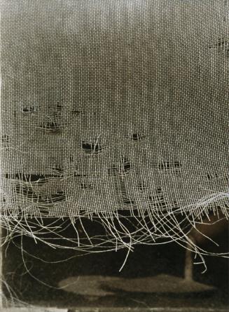 Helga Pasch, Gewebe, Ende 1980er-Jahre, Farbfotografie, 42 × 30,5 cm, Belvedere, Wien, Inv.-Nr.…