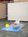 Swetlana Heger, Silver Streak (Plenty Objects of Desire), 1998, MDF-Platte bemalt, Zeichnung au ...