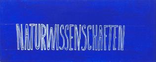 Oswald Oberhuber, Naturwissenschaften, 2009, Acryl auf Leinwand, 3-teilig, 20 × 50 × 2 cm, Belv…