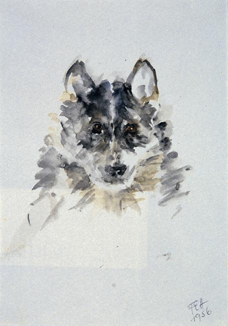 Fritzi Ecker-Houdek, Polarhund in Schönbrunn, 1956, Wasserfarbe auf Papier, 22 x 14,5 cm, Belve…