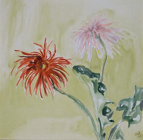 Fritzi Ecker-Houdek, Gerbera, 1957, Wasserfarbe auf Papier, 36,5 x 36,5 cm, Belvedere, Wien, In…