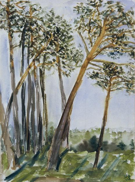 Fritzi Ecker-Houdek, Kieferwald in Wolfratshausen, 1956, Wasserfarbe auf Papier, 30 x 22,5 cm, …