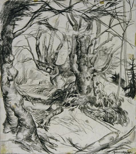 Arthur Brusenbauch, Alte Buchen, 1924, Kohle auf Papier, 51 x 41,5 cm, Belvedere, Wien, Inv.-Nr…