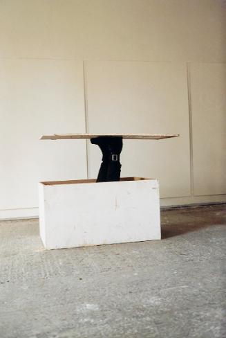 Erwin Wurm, one minute sculpture, 1997/2005, C-Print, 45 × 30 cm, Belvedere, Wien, Inv.-Nr. 114…