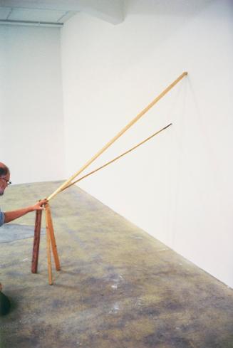 Erwin Wurm, one minute sculpture, 1997/2005, C-Print, 45 × 30 cm, Belvedere, Wien, Inv.-Nr. 114…