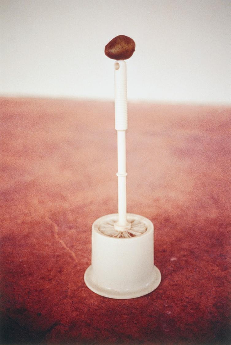 Erwin Wurm, one minute sculpture, 1997/2005, C-Print, 45 × 30 cm, Belvedere, Wien, Inv.-Nr. 114 ...